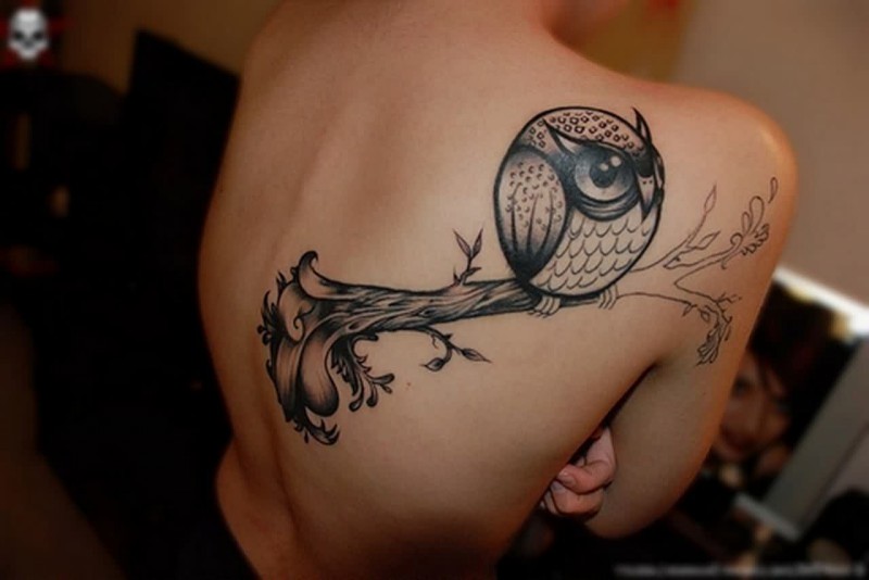 Black Ink Owl On Branch Tattoo On Man Right Back Shoulder