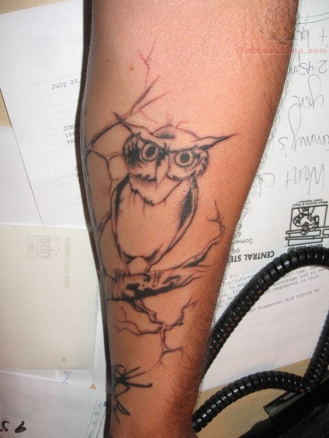 Black Ink Owl On Tree Tattoo Design For Sleeve