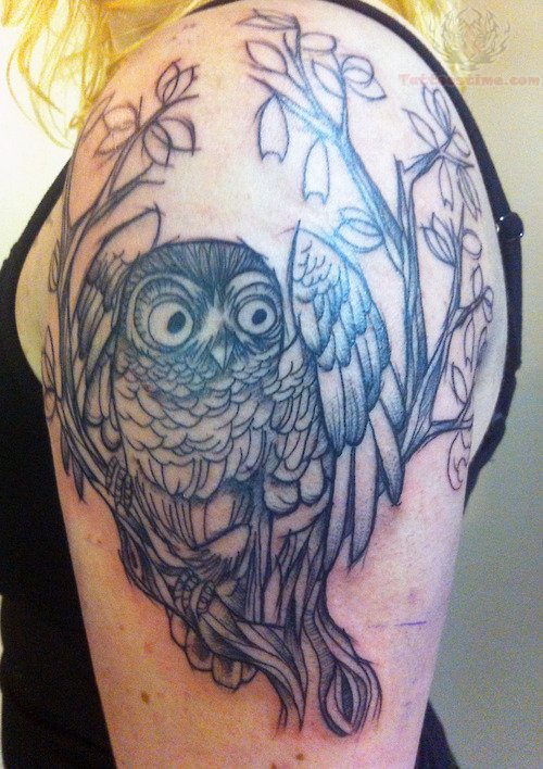 Black Ink Owl On Tree Tattoo On Girl Left Shoulder