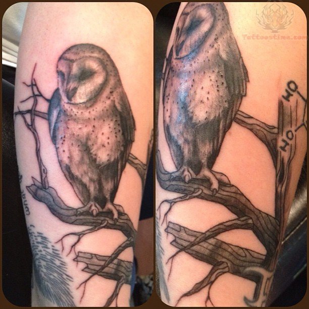 Black Ink Owl On Tree Tattoo On Half Sleeve