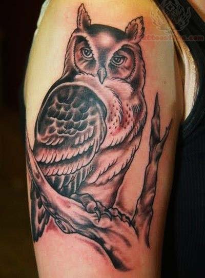 Black Ink Owl On Tree Tattoo On Right Half Sleeve