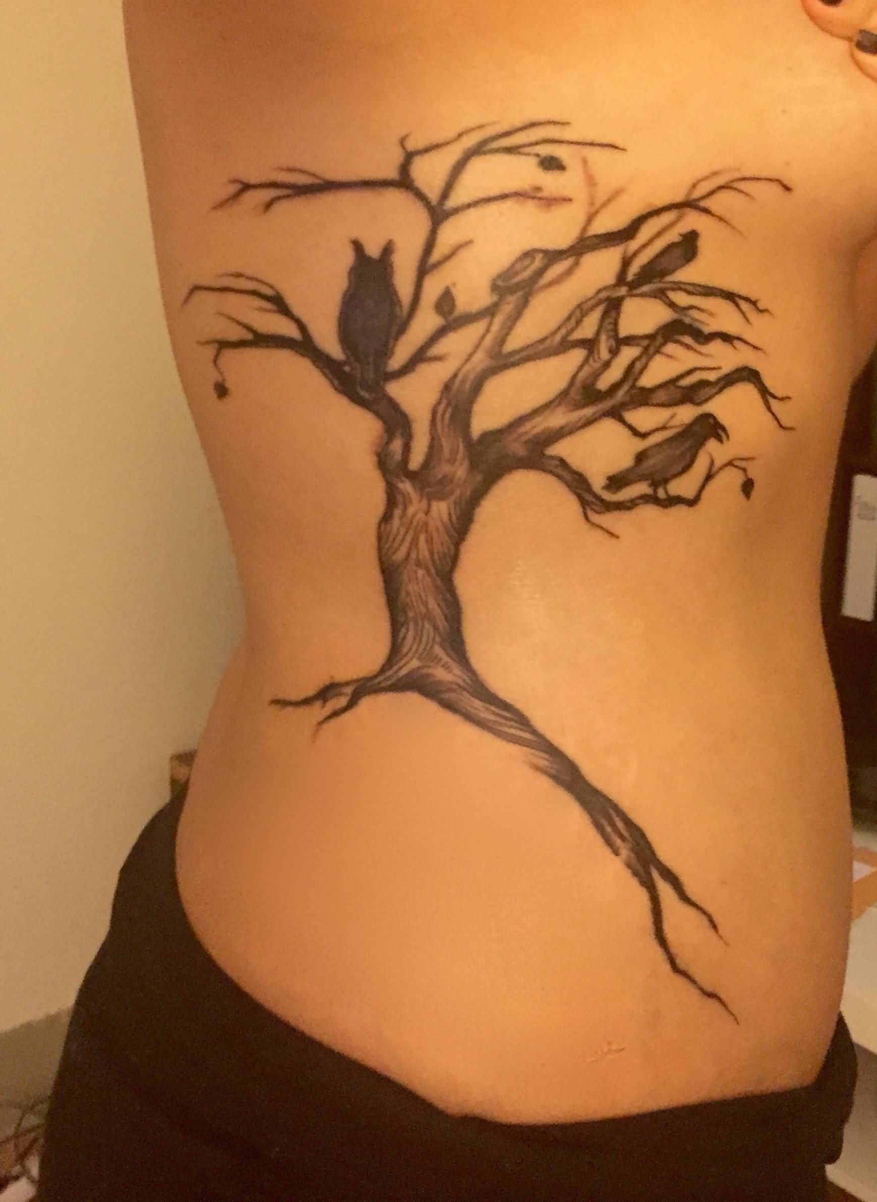 Black Ink Owl On Tree Without Leaves Tattoo On Right Side RIb