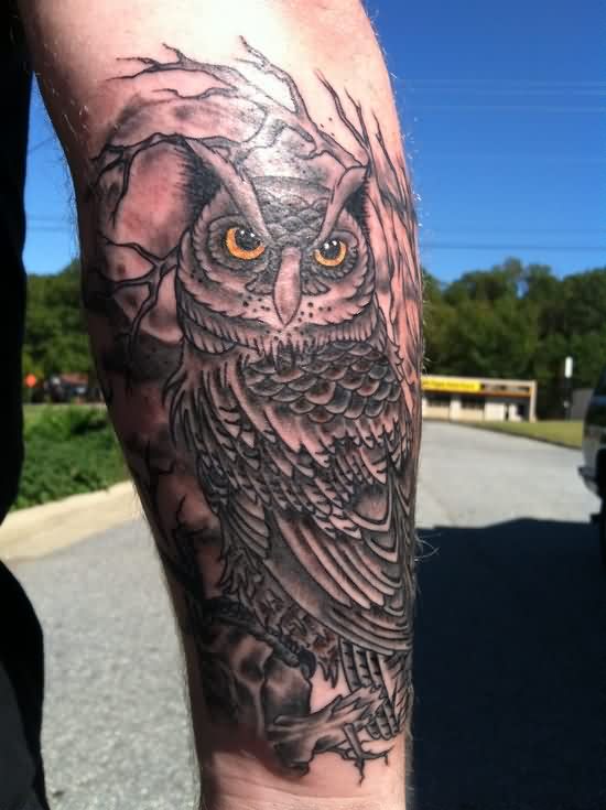 Black Ink Owl With Tree Tattoo Design For Sleeve
