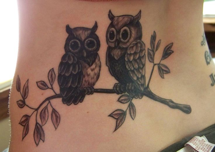 Black Ink Two Owl On Branch Tattoo On Lower Back