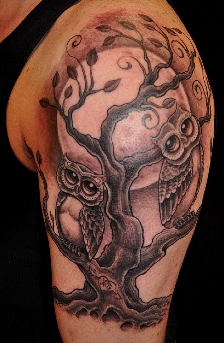 Black Ink Two Owl On Tree Tattoo On Left Half Sleeve