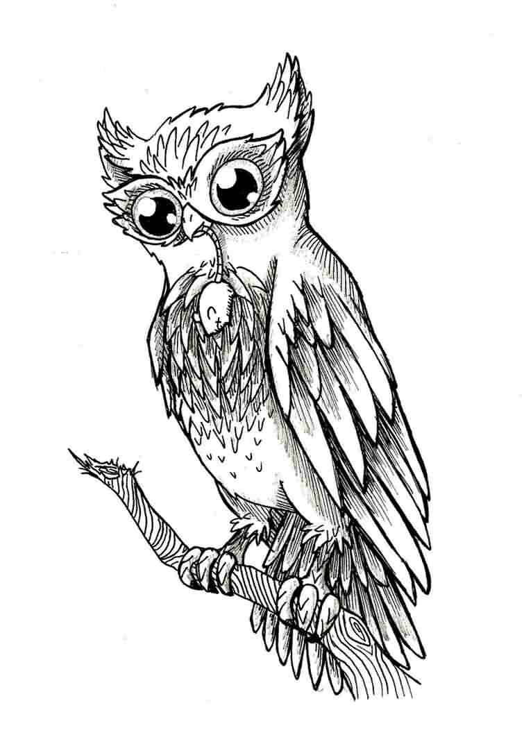 Black Outline Owl On Branch Tattoo Design