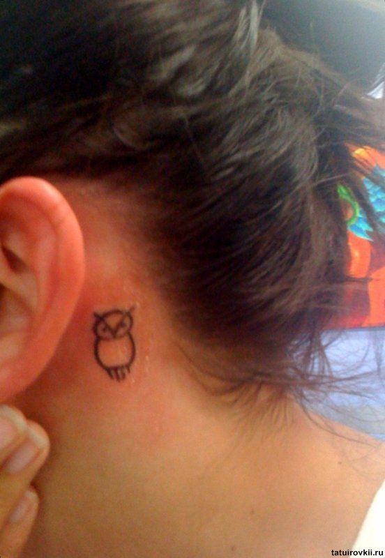 Black Outline Owl Tattoo On Left Behind The Ear