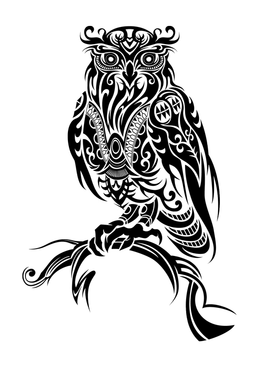 Black Tribal Owl On Branch Tattoo Design