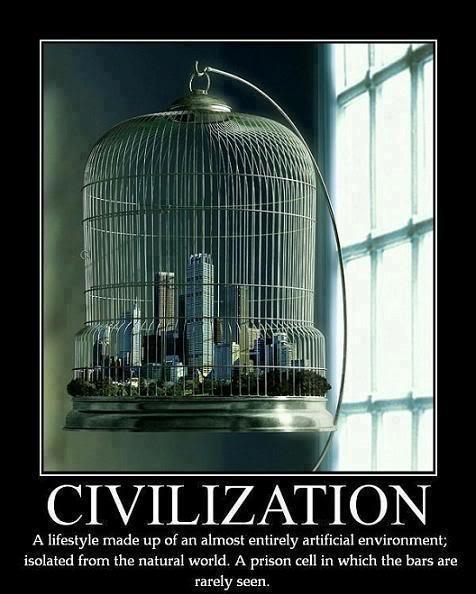 Civilization a lifestyle made up of an almost entirely artificial environment, isolated from the natural world; a prison cell in which the bars are ...