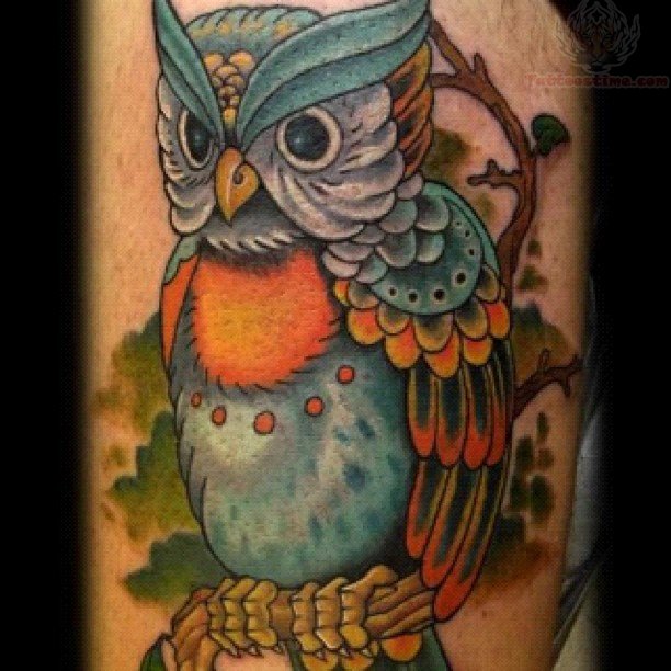 Colorful Owl On Branch Tattoo Design For Sleeve