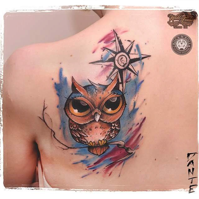 Colorful Owl On Branch Tattoo On Left Back Shoulder