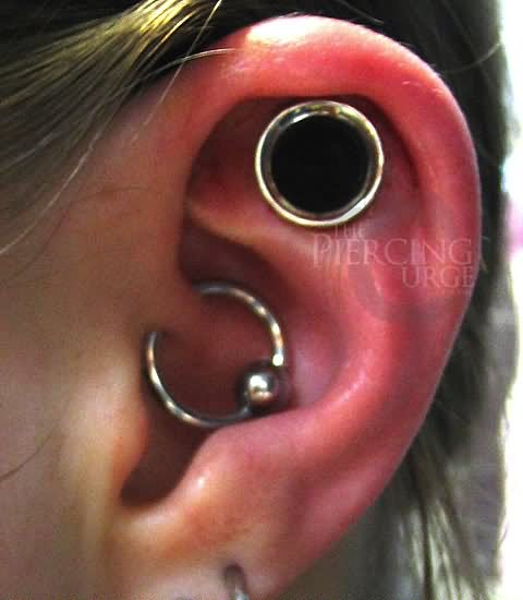 Conch And Dermal Punch Piercing For Girls