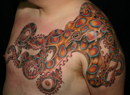Cool Colorful Octopus Tattoo On Man Left Shoulder And Chest