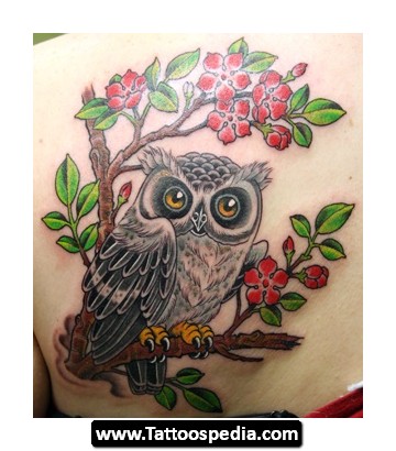 Cool Owl On Branch Tattoo On Female Left Back Shoulder