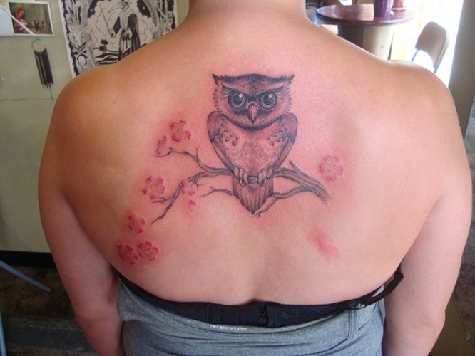 Cool Owl On Branch Tattoo On Female Upper Back