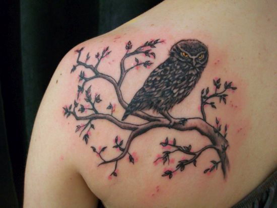 Cool Owl On Tree Tattoo On Left Back Shoulder