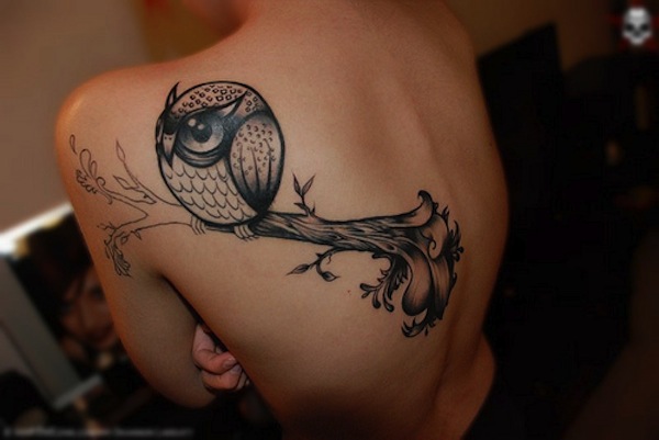 Cute Black Ink Owl On Branch Tattoo On Left Back Shoulder