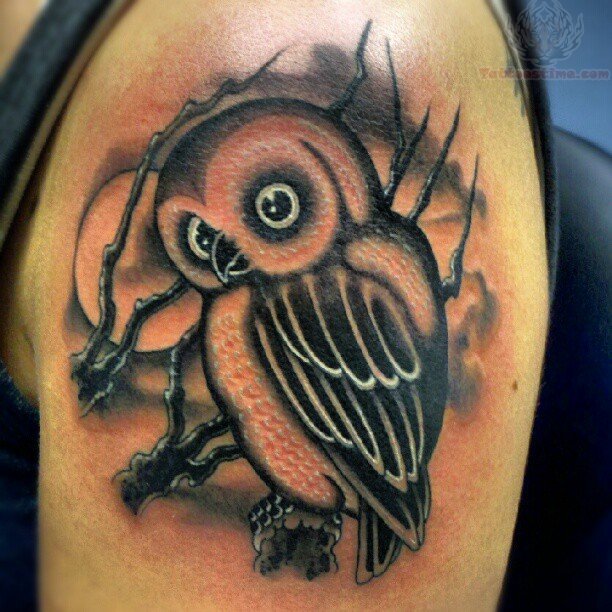 Cute Black Ink Owl On Branch With Moon Tattoo On Left Shoulder