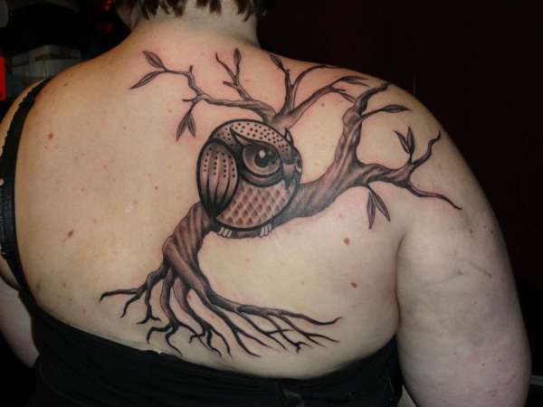 Cute Black Ink Owl On Tree Tattoo On Right Back Shoulder