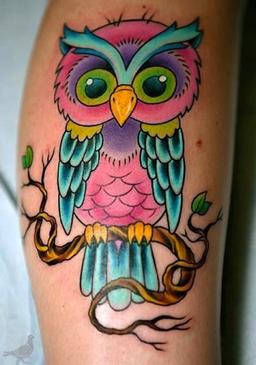 Cute Colorful Owl On Branch Tattoo Design For Girl Sleeve By April Gassler