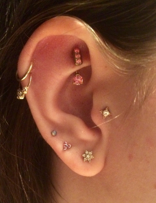 Cute Multiple Ear And Tragus With Rook Piercing