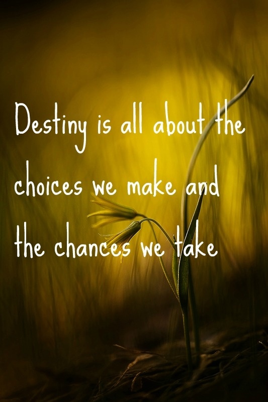 Destiny is all about the choices we make and the chances we takes