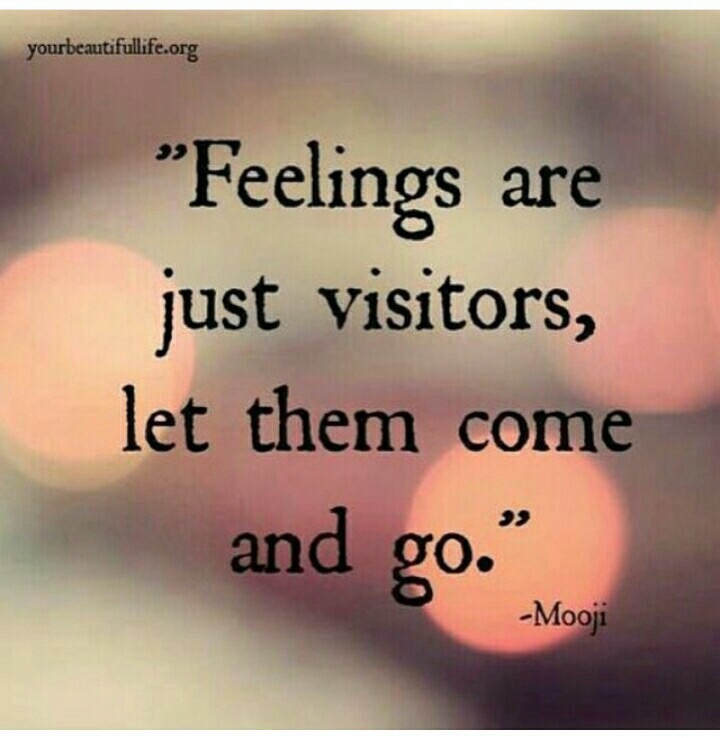 Feelings are just visitors. Let them come and go. Mooji