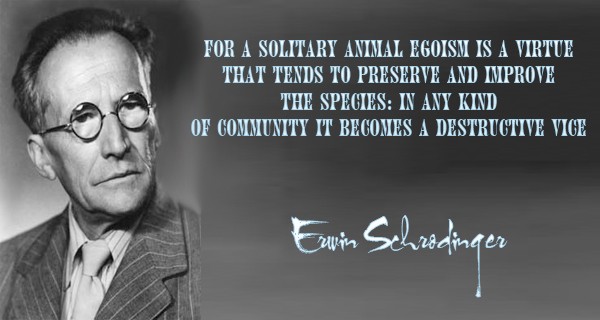 For a solitary animal egoism is a virtue that tends to preserve and improve the species in any kind of community it becomes a ... Erwin Schrodinger