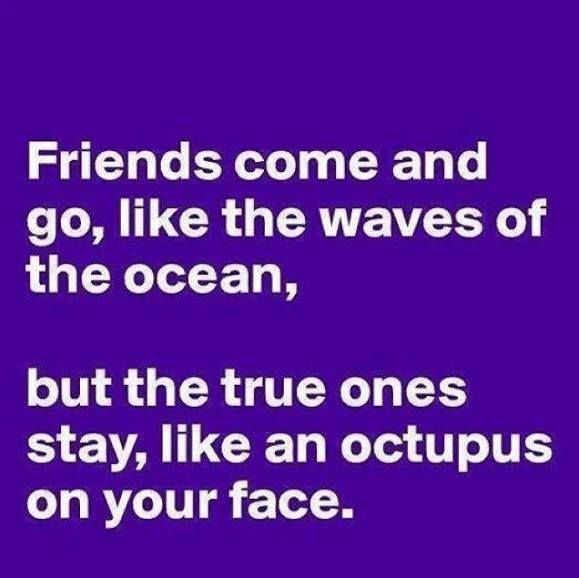 Friends come and go, like the waves of the ocean, but the true ones stay, like an octopus on your face