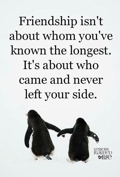 Friendship isn't about whom you have known the longest... It's about who came, and never left your side