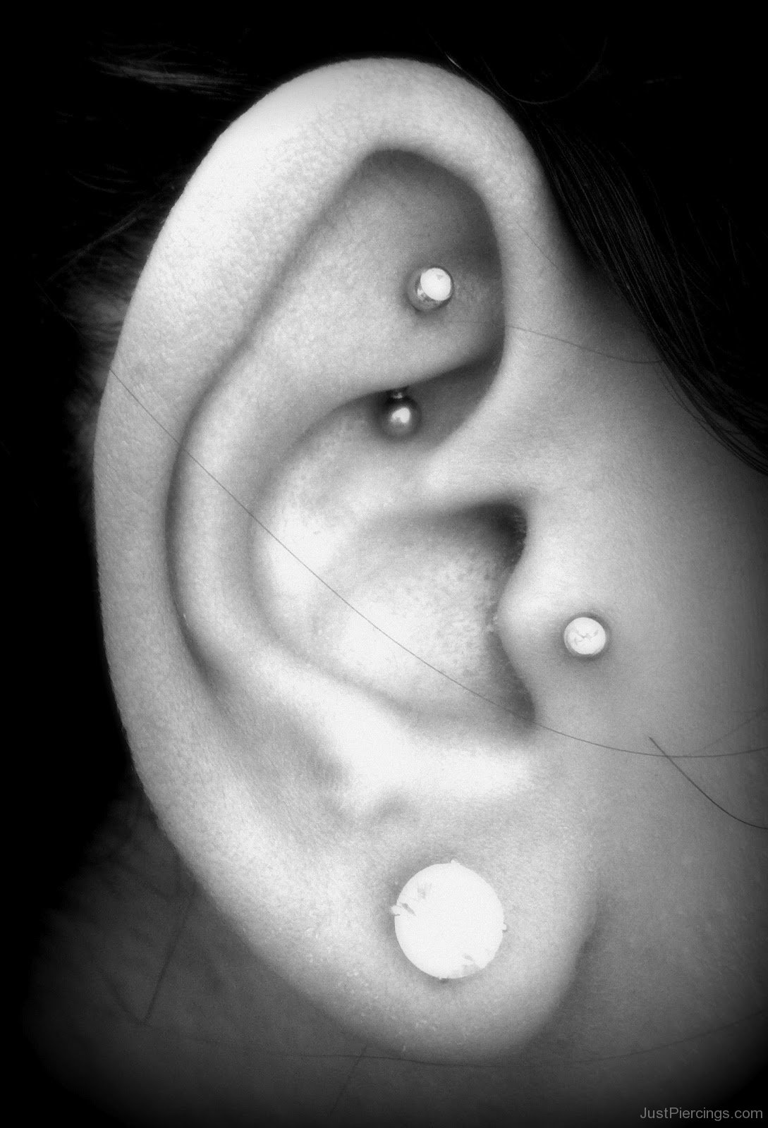 Girl With Ear Lobe, Tragus And Rook Piercing
