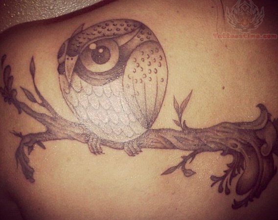 Grey Ink Owl On Branch Tattoo On Left Back Shoulder