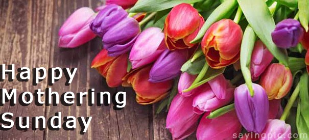Happy Mothering Sunday Tulip Flowers