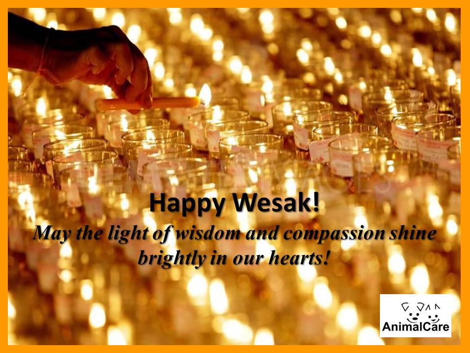 Happy Wesak May The Light Of Wisdom And Compassion Shine Brightly In Our Hearts