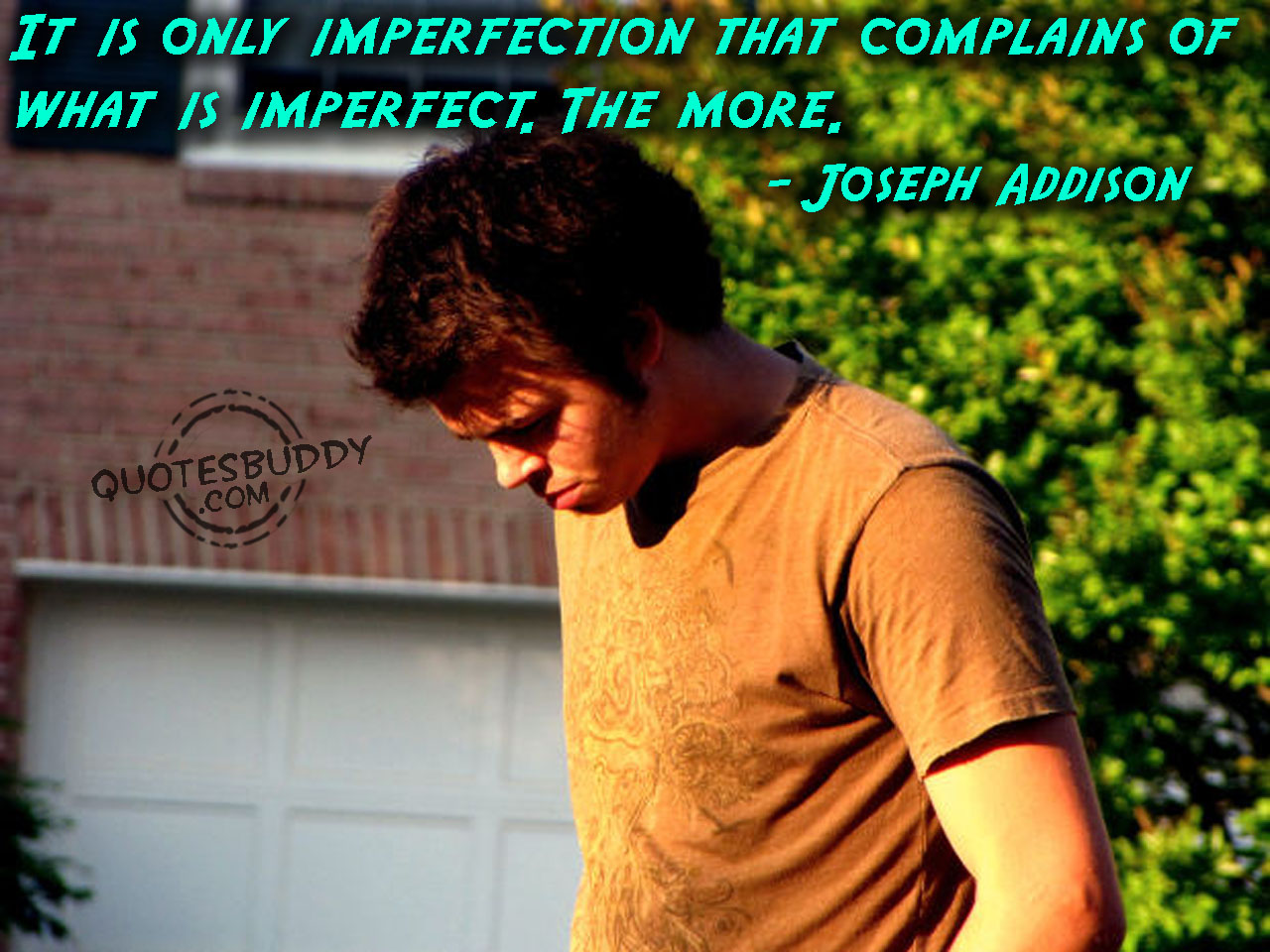 It is only imperfection that complains of what is imperfect. The more. Joseph Addison