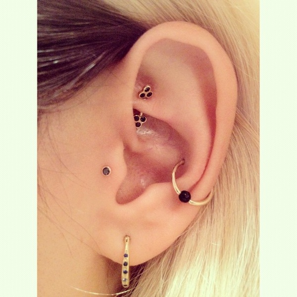 Left Ear Conch And Rook Piercing Image