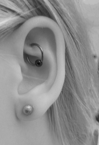 Left Ear Lobe And Hoop Ring Rook Piercing
