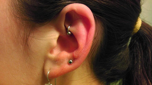 Left Ear Lobe And Rook Piercing Picture For Girls