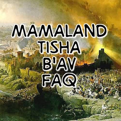 Mamaland Tisha B'Av Faq