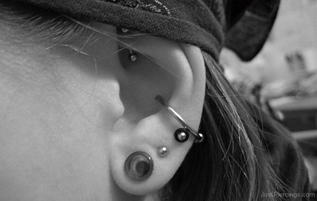 Nice Left Ear Lobe And Conch And Rook Piercing