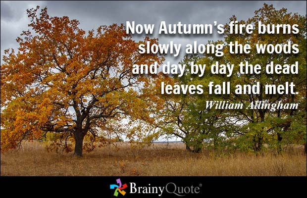 Now Autumn's fire burns slowly along the woods and day by day the dead leaves fall and melt. William Allingham