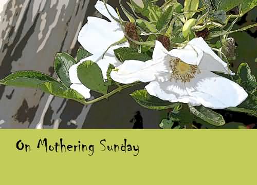 On Mothering Sunday Blessings