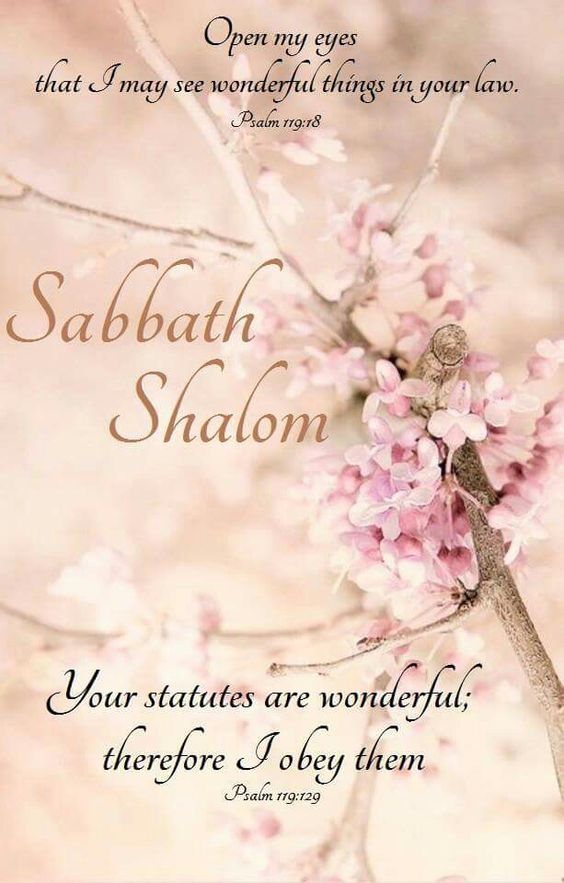 Open My Eyes That I May See Wonderful Things In Your Law. Shabbath Shalom