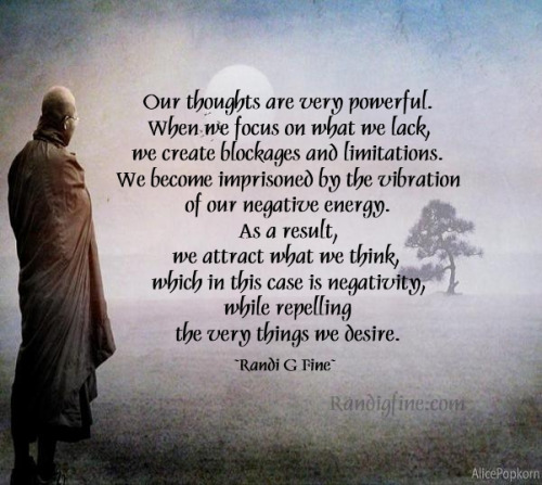 Our thoughts are very powerful. When we focus on what we lack, we create blockages and limitations. We become imprisoned by the vibration of our negative energy.... Randi G Fine