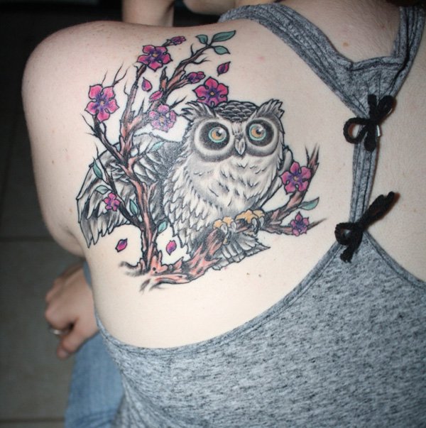 Owl On Branch Tattoo On Female Left Back Shoulder