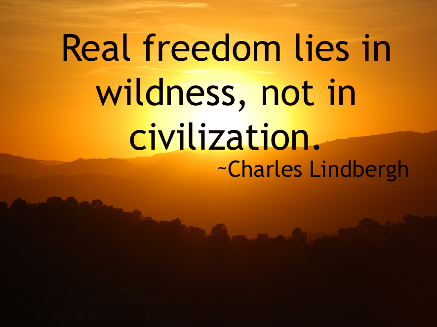 Real freedom lies in wildness, not in civilization. Charles Lindbergh