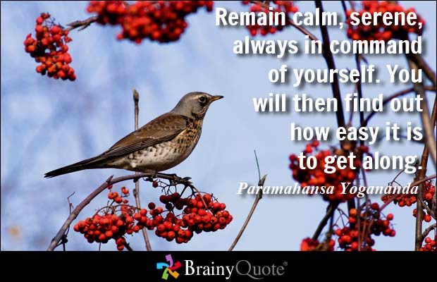 Remain calm, serene, always in command of yourself. You will then find out how easy it is to get along. Paramahansa Yogananda