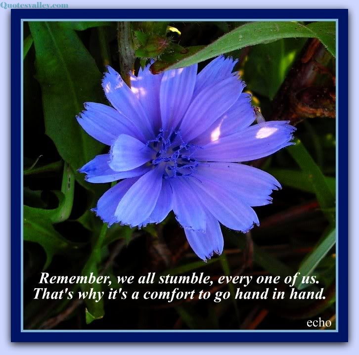 Remember, we all stumble, every one of us. That's why it's a comfort to go hand in hand