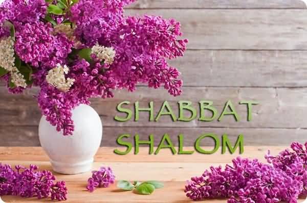 Shabbat Shalom Flower Pot