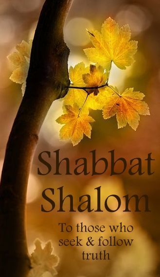 Shabbat Shalom To Those Who Seek & Follow Truth